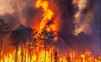 مقدونيا الشمالية تواجه أكثر من 20 حريق غابات