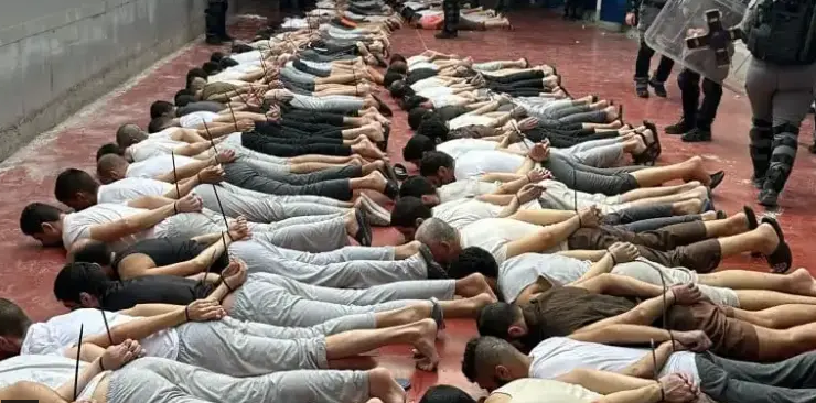 عندما يتحوّل الجسد إلى ساحة حرب: تقرير حقوقي يفضح أبشع الانتهاكات الجنسية في سجون الاحتلال