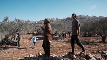 اعتداءات استيطانية متزامنة في الخليل ونابلس تطال مواطنين ومزارعين