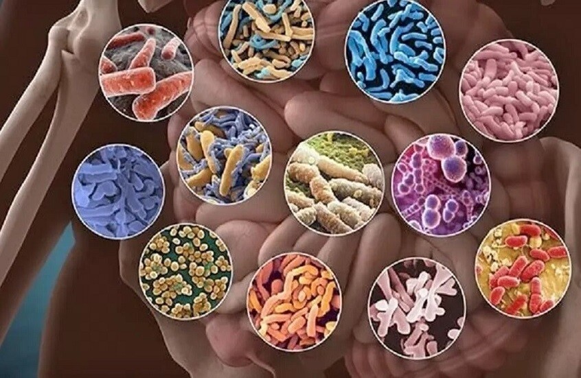 علماء يكتشفون صلة بين بكتيريا الأمعاء والصحة النفسية لدى الأطفال