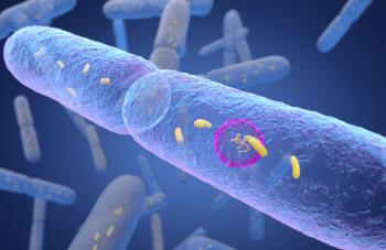 دور وقائي للبكتيريا المعوية ضد مرض السكري