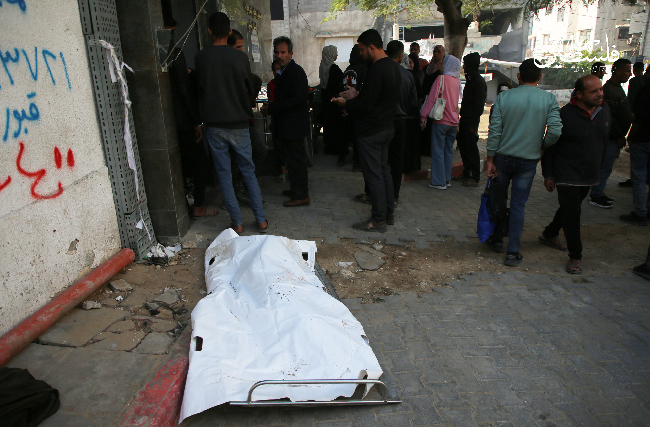 صحة غزة: 367 شهيدا منذ بدء وقف إطلاق النار وانتشال 624