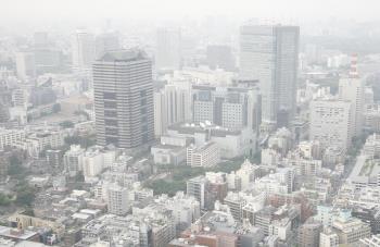 علماء: فيتامين С يحمي الرئتين من تلوث الهواء