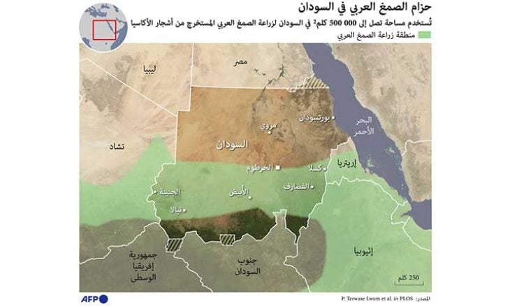 السودان: تزايد عمليات تهريب الصمغ العربي تحت حماية قوات الدعم السريع مقابل المال