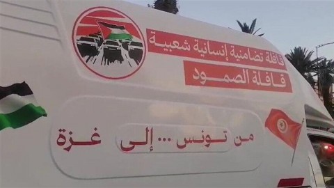 الموقف المصري من قافلة "الصمود".. معادلة معقّدة بين دعم غزة وسيادة الدولة