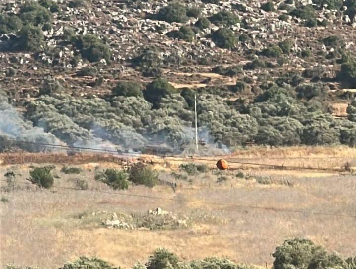 مستوطنون يحرقون أراضٍ زراعية في ترمسعيا