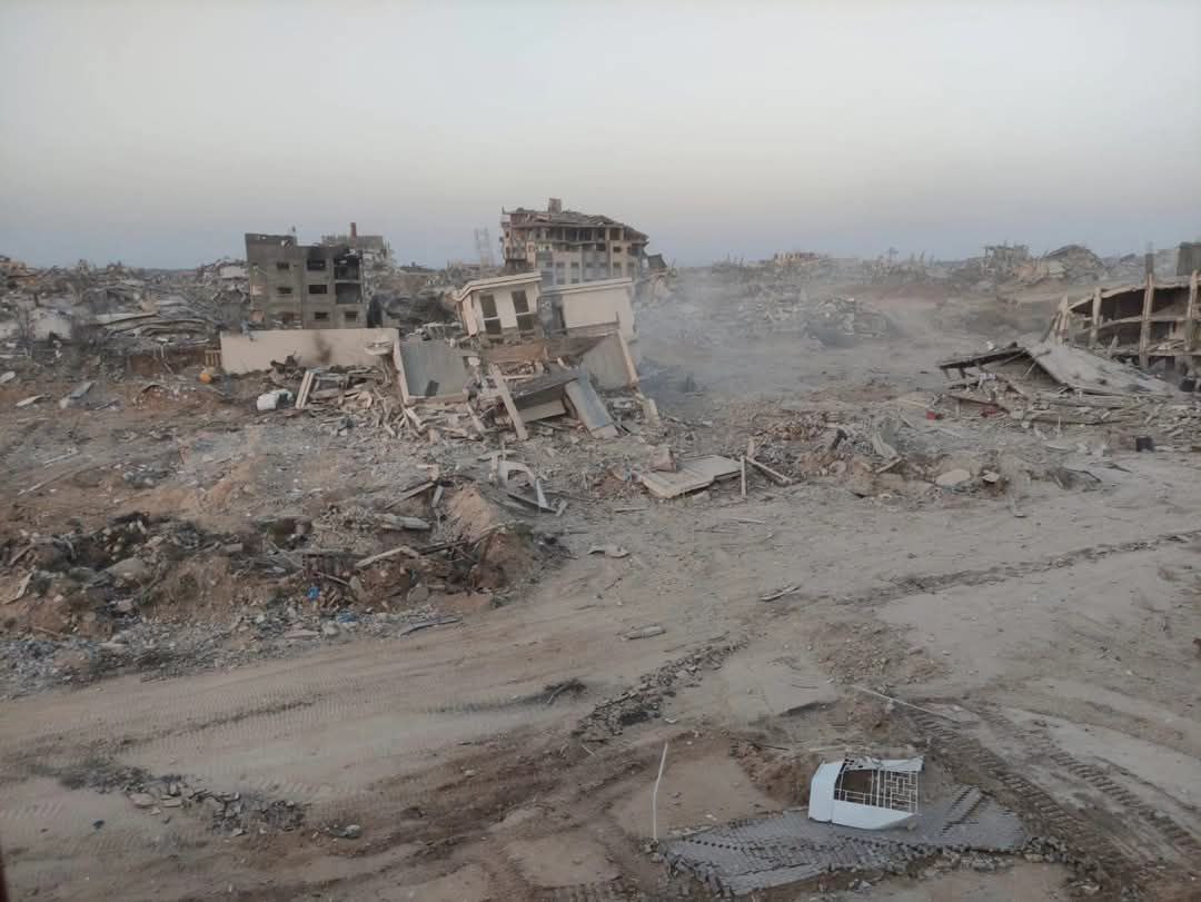 من البحر إلى المنابر.. غريتا ثونبرج والفنانون يواجهون الحصار والعدوان في غزة