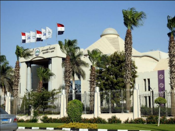 تشكيل جديد للمجلس الأعلى للثقافة في مصر