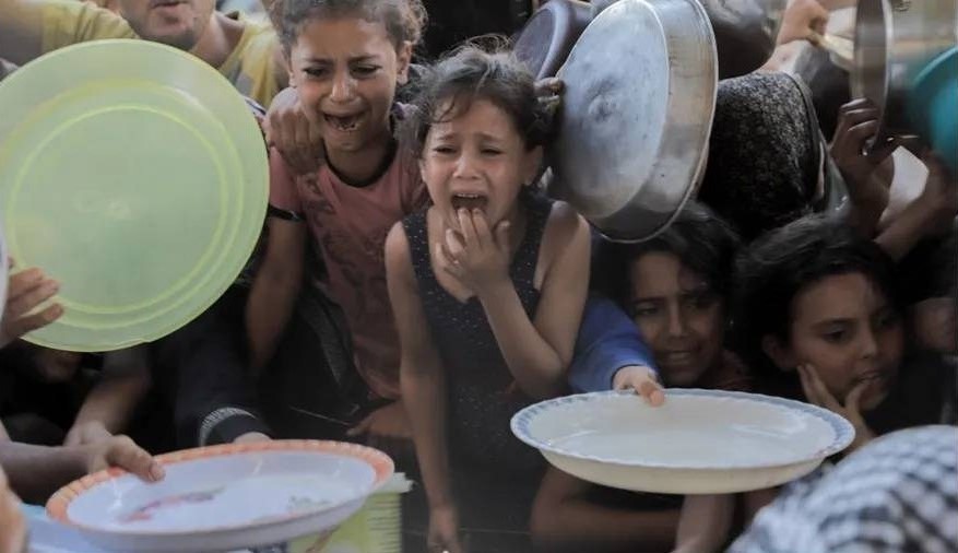 غزة تذبح جوعًا: حين يصبح الخبز حلمًا وضرب المثل ’لا أحد يموت من الجوع‘ كذبة كبرى
