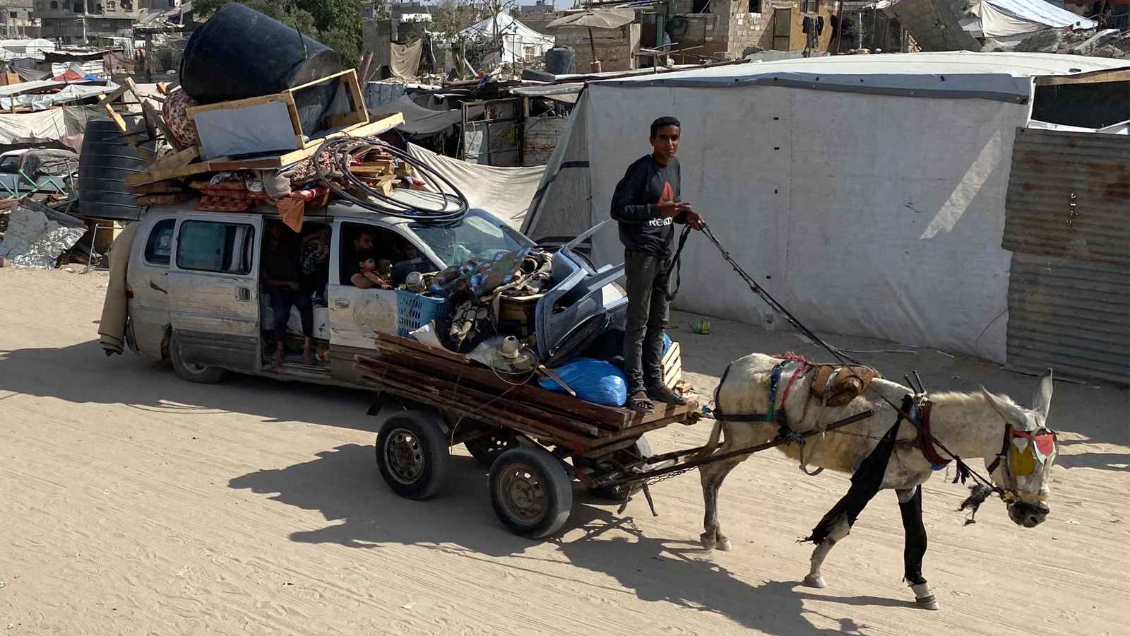 لصوص الحمير: حين تتحول وسائل النقل البدائية في غزة إلى ضحايا جديدة للاحتلال