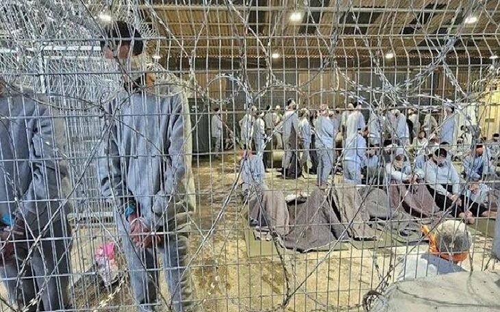 حين يُستدعى الطبيب إلى لاهاي: شكوى "هند رجب" تفتح ملف المسؤولية الطبية عن تعذيب الأسرى الفلسطينيين