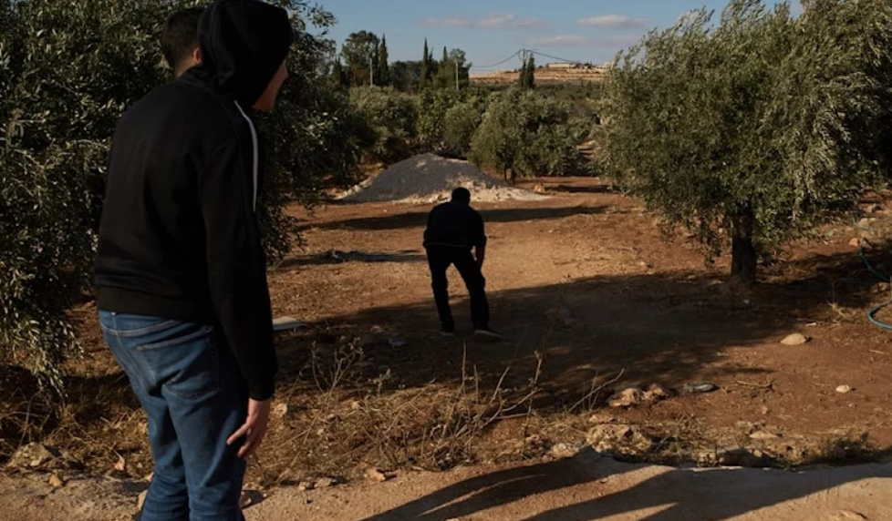 IOF Forces, Settlers Attack Burqa Olive Harvest, Kill Palestinian Farmer