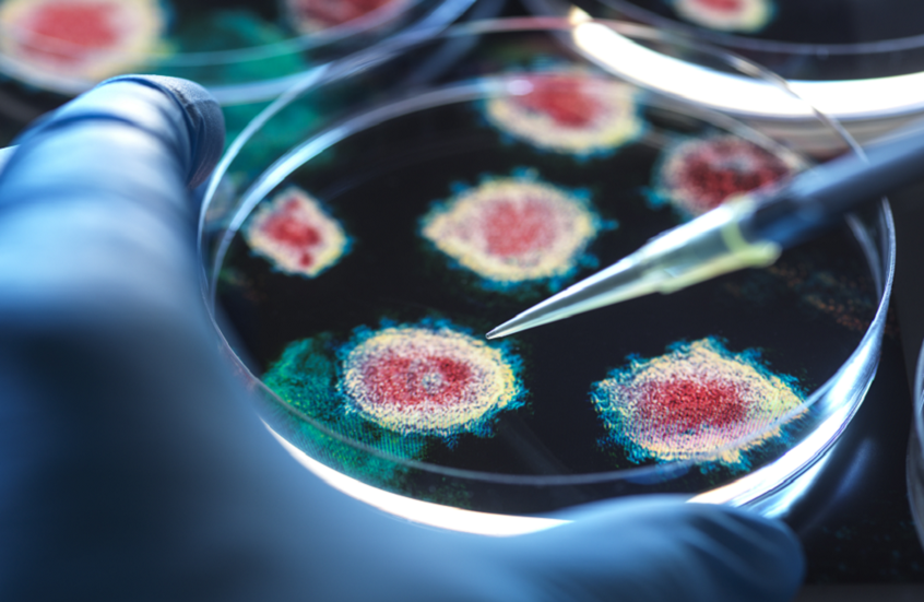 دراسة مقلقة.. قنابل فيروسية مهملة قد تهدد الصحة العالمية