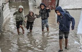 الموت الصامت في غزة: أكثر من مليون بلا مأوى ورضّع يموتون تجمّدًا