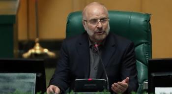Iran Parliament Speaker Vows to Hear Protesters, Act Against Foreign-Linked Agitators