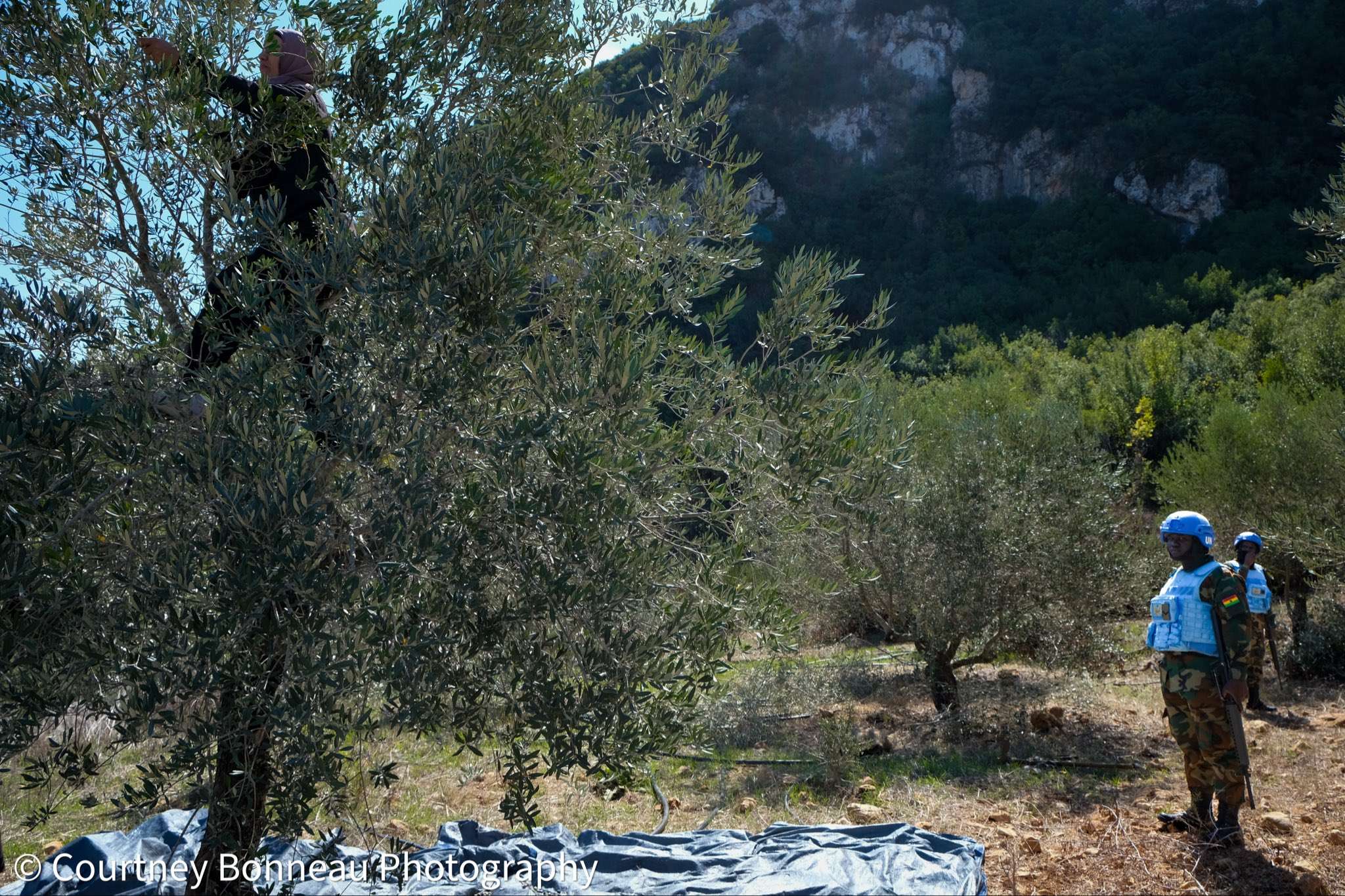 الأورومتوسطي: رش كيماوي إسرائيلي يدمّر الزراعة في لبنان وسوريا