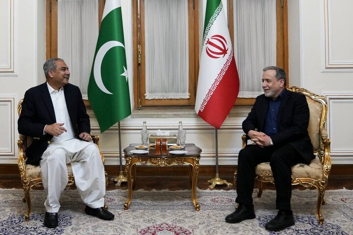 Pakistan’s Interior Minister and Araghchi Hold Discussions