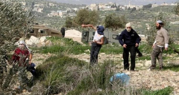 77 إصابة و164 اعتقالاً و85 هدمًا.. أسبوع من التصعيد الإسرائيلي يقابله تصعيد فلسطيني في المواجهات الميدانية