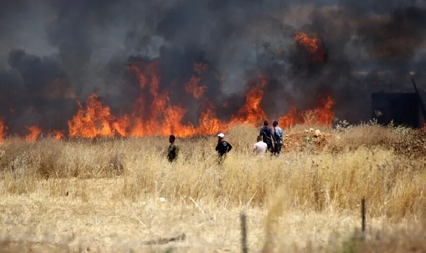 المستوطنون وراء 89% من حرائق الضفة الغربية