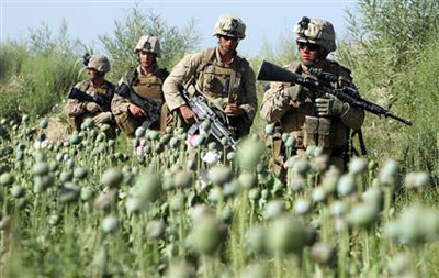 زیادة زراعة المخدرات ... إحدی أهم نتائج الحرب الأمریکیة علی أفغانستان