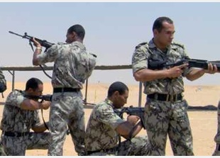 الجيش المصري: مقتل 12 ارهابياً من تنظيم "أنصار بيت المقدس" شمال سيناء