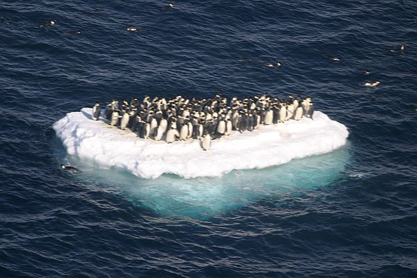 Temperatura del planeta en 2015, la más alta en 136 años