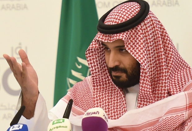 UAE Advises Saudi Deputy Crown Prince on How to Ascend Throne: Revealed