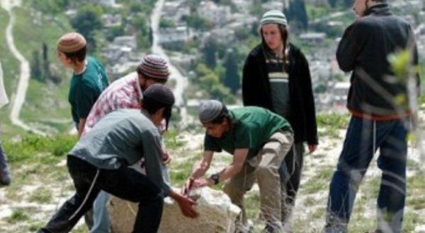 Zionist Settlers Steal Olive Harvest of Palestinian Farmers