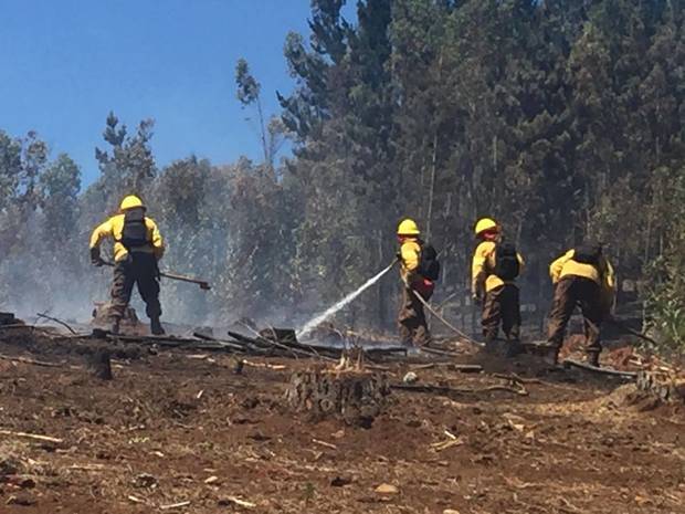 Realizan operativo en Chile para combatir incendios forestales