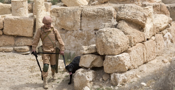 Descubren más de 120 artefactos explosivos en Palmira