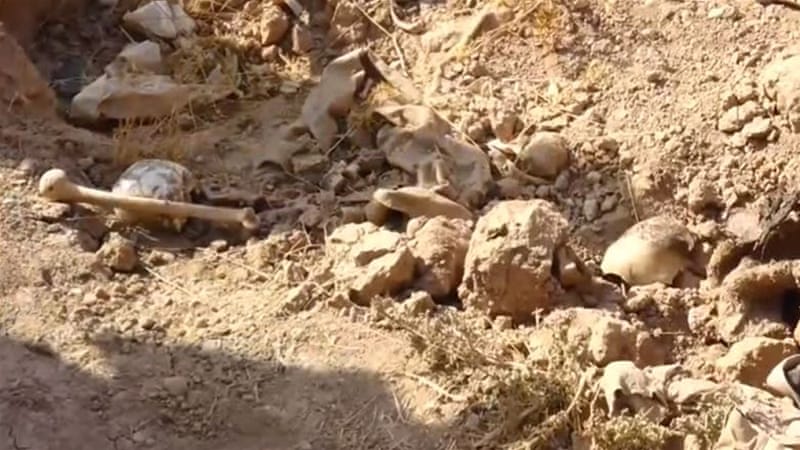 Over 200 Mass Graves of ISIS Victims Uncovered in Iraq: UN