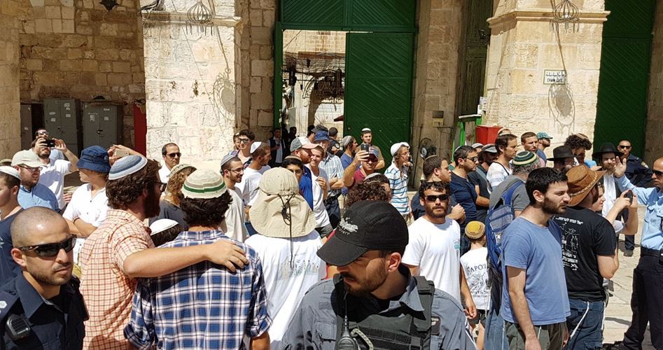 Al-Aqsa Mosque Director Warns of Zionist Settlers’ Increased Violations