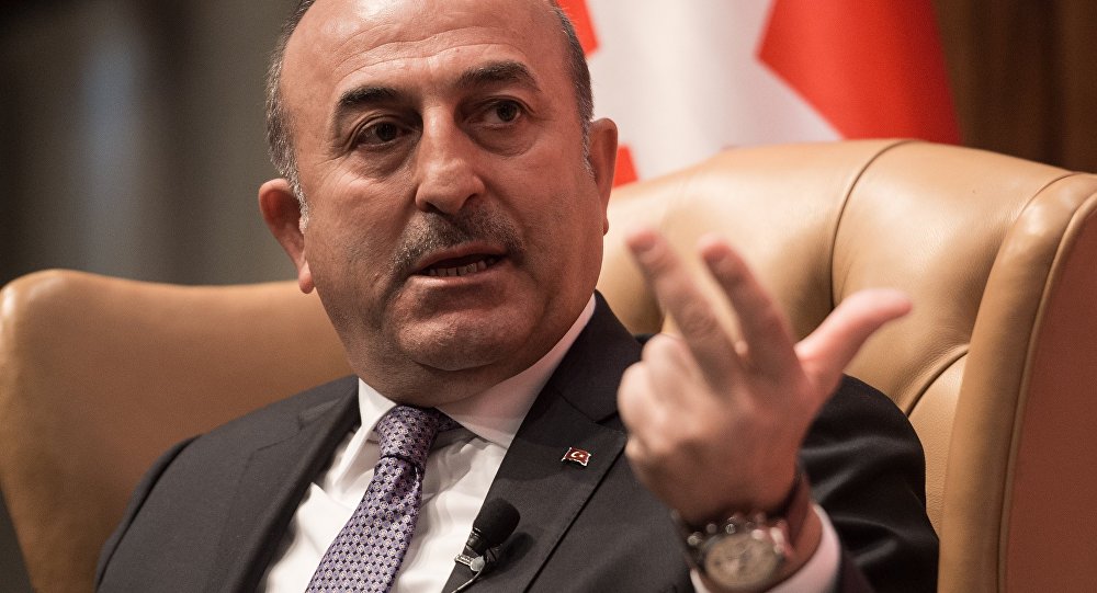 Turkey to Ignore US Sanctions on Iran: Foreign Minister