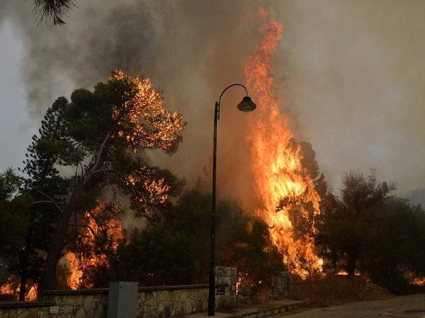 Lebanon Fights Wildfires as They Unfold