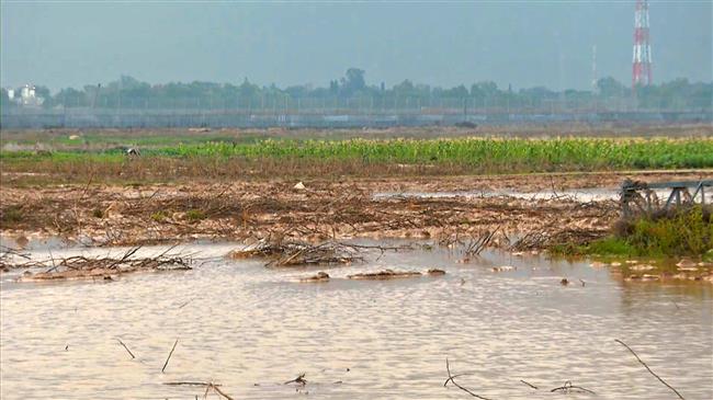 Israeli Regime floods Hundreds of Acres of Palestinians’ Farmlands in Gaza