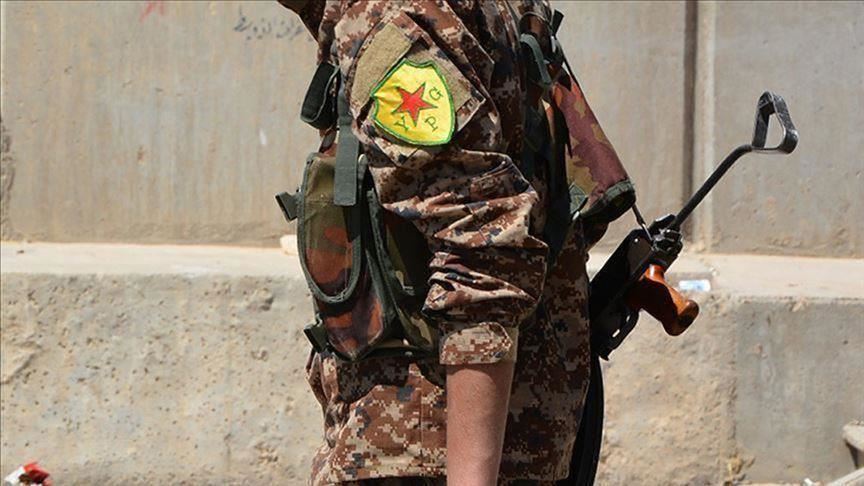 UAE Spy Agents Train YPG Militants in Syria: Report