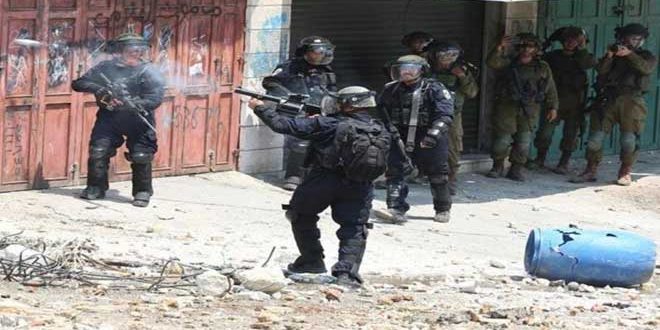 قوات الاحتلال تعتدي على الفلسطينيين  وإصابة العشرات شمال الخليل
