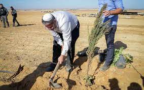 استيلاء الکيان الإسرائيلي على مساحات شاسعة من الأراضي الفلسطينية تحت غطاء زراعة الأشجار