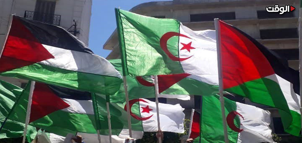 الجزائر.. حملة كبرى لمحاكمة كيان الاحتلال الإسرائيلي