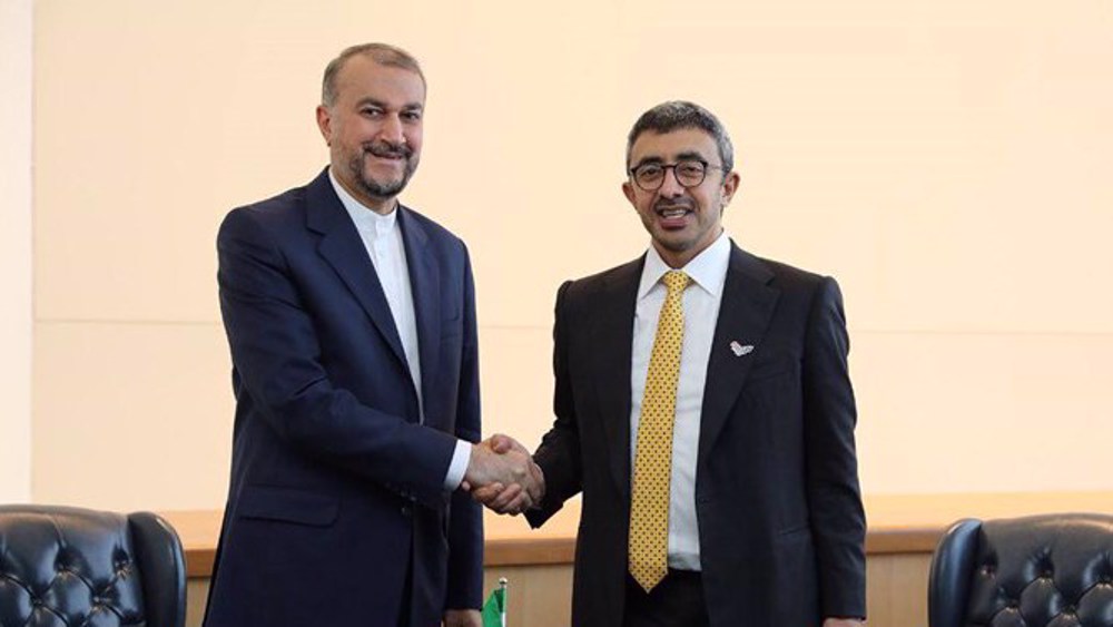 Iran-Saudi Rapprochement to Benefit Entire West Asia Region: UAE FM
