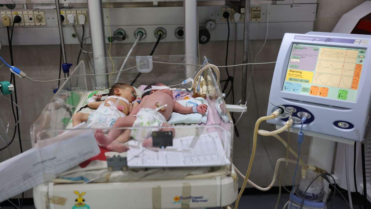 WHO Reports Sharp Rise in Newborn Deaths in Gaza