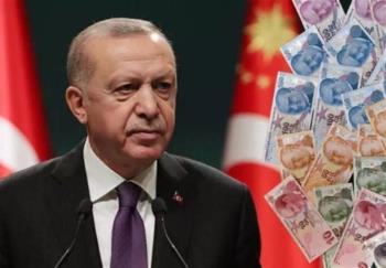 هل وقع الاقتصاد التركي تحت غطاء  المنظومة الدولية ؟