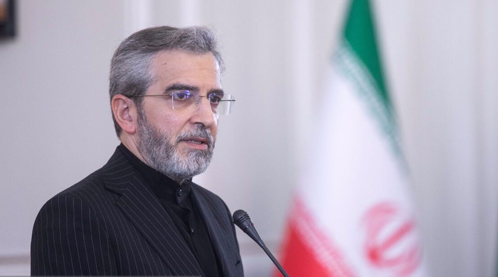 Bagheri: The agency has turned into a platform for Europeans to settle political scores with Iran