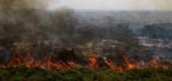 حرائق مدمرة.. اليونان تسجل أكثر من 40 حريقا والدولة تواجه صيفا صعبا للغاية