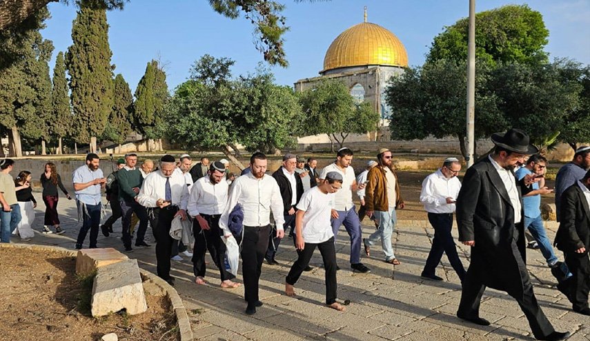 بحماية شرطة الاحتلال.. مجموعة من المستوطنين، تقتحم باحات المسجد الأقصى المبارك
